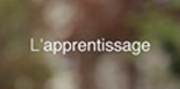 apprentissage-IDF